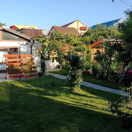 Casa Ienciu Διαμέρισμα Σίμπιου Εξωτερικό φωτογραφία