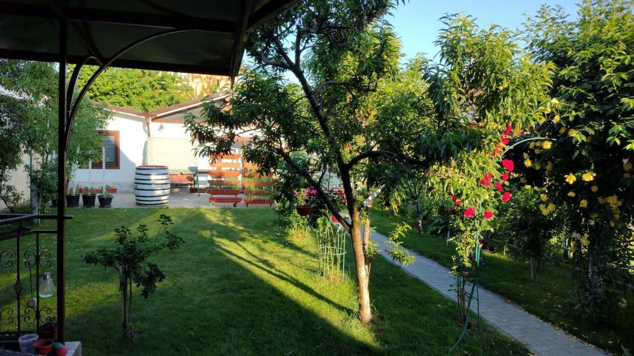 Casa Ienciu Διαμέρισμα Σίμπιου Εξωτερικό φωτογραφία